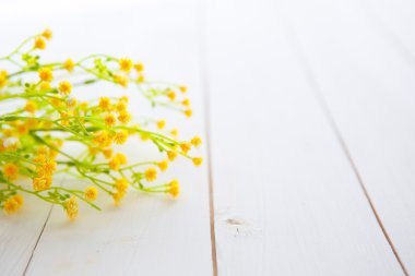 ahşap arka plan üzerinde bahar çiçeği.