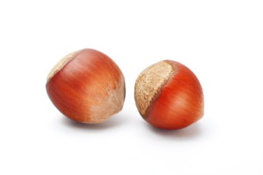 Fındıklar beyaz arkaplanda izole