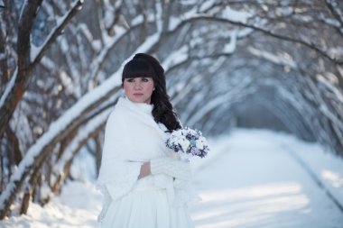 Kışın güzel gelin