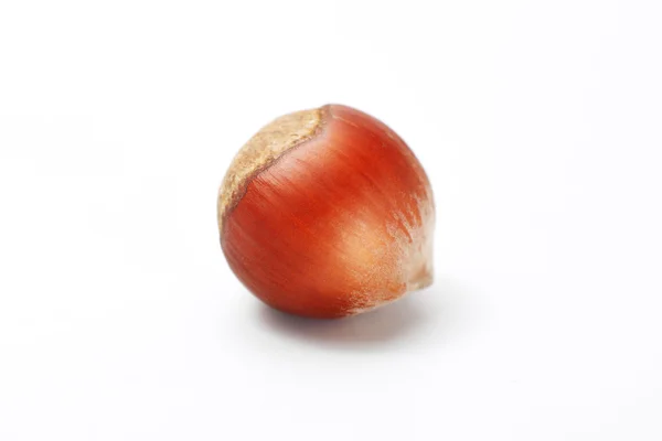 Hazelnut isolated on white background — Stock Photo, Image