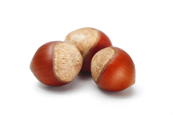 Hazelnuts isolated on white background — Stock Photo, Image