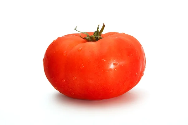 Tomaten geïsoleerd op wit — Stockfoto