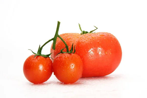 Tomaten op een witte achtergrond. — Stockfoto