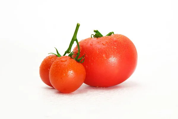 Tomaten — Stockfoto