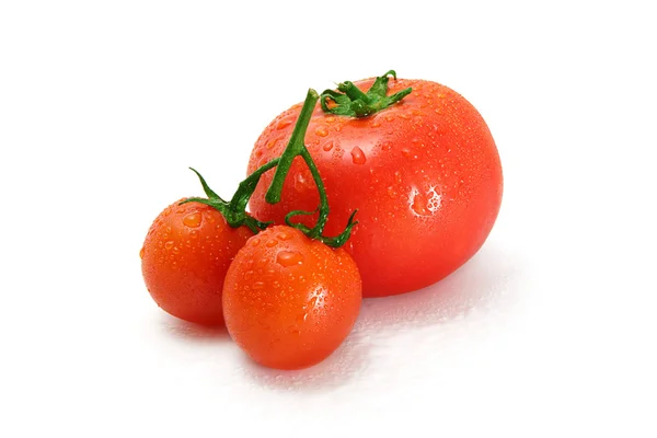 Tomaten — Stockfoto