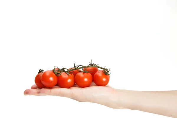 Vrouwelijke hand met een heerlijke smakelijke rode tomaten — Stockfoto