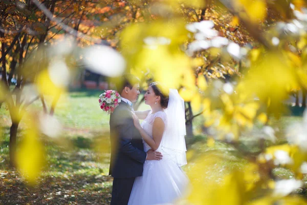 Happy newlyweds in park. — Stock Photo, Image