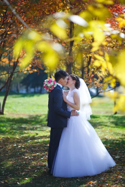 Heureux jeunes mariés dans le parc . — Photo