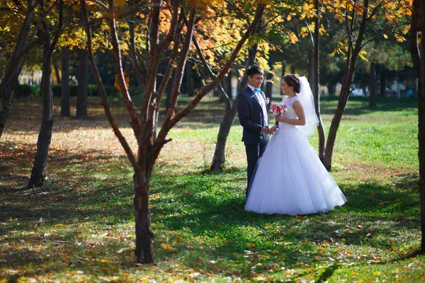 Felices recién casados en el parque . — Foto de Stock