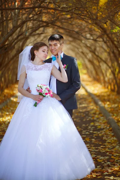 Sposi felici nel parco . — Foto Stock