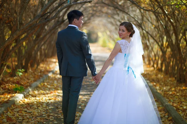 Felices recién casados en el parque . — Foto de Stock