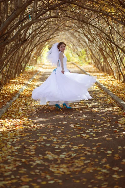 Красивая невеста с баллонами — стоковое фото