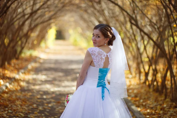 Bella sposa con palloncini — Foto Stock