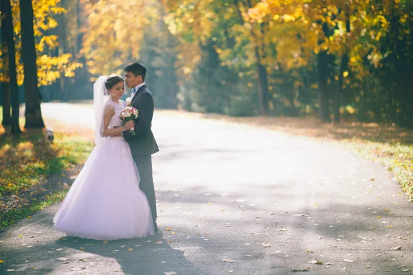 Sposi felici nel parco . — Foto Stock