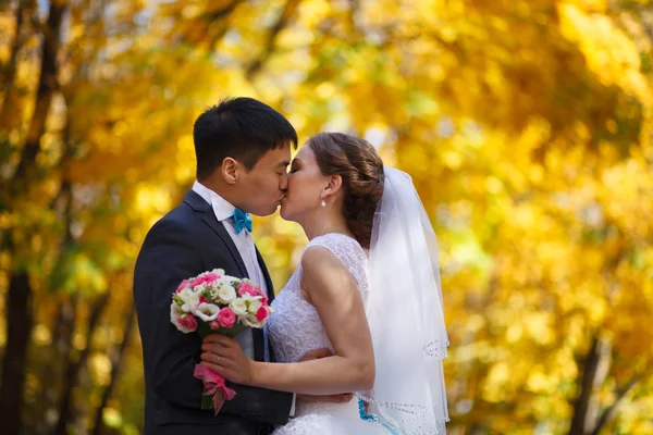 Felices recién casados en el parque . — Foto de Stock