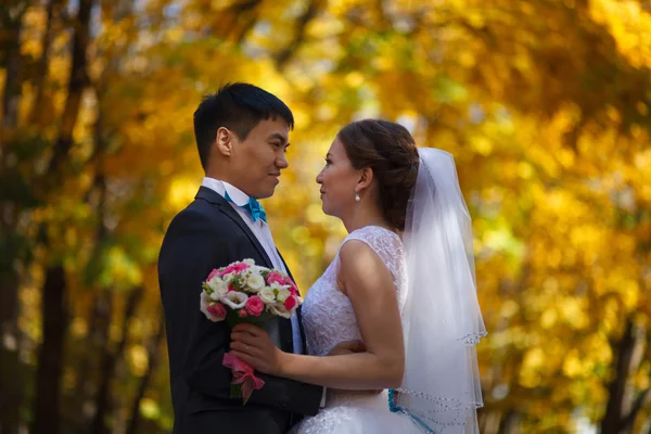 Felices recién casados en el parque . — Foto de Stock