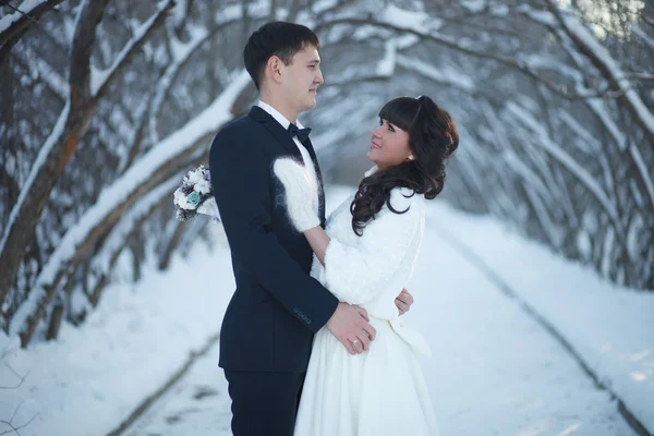 Casamento no inverno . — Fotografia de Stock