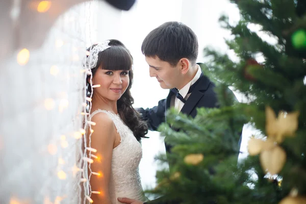 Bride and groom. — Stock Photo, Image