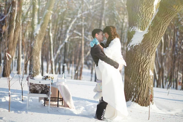 Schöner Winter und Hochzeit. — Stockfoto