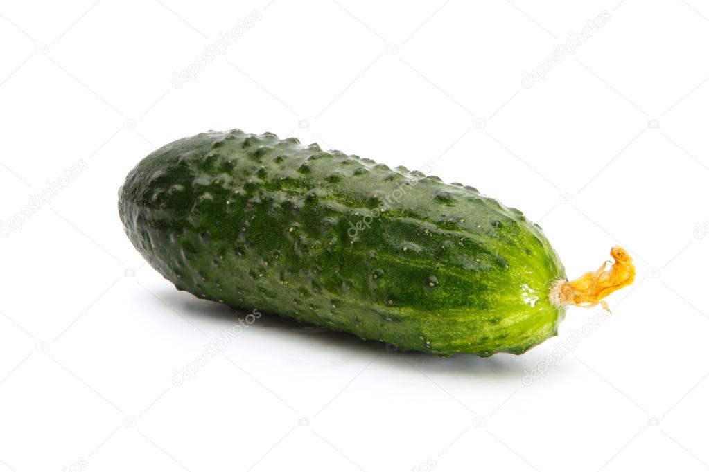 Fresh cucumber isolated on white