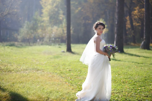 Schöne Frau am Morgen — Stockfoto