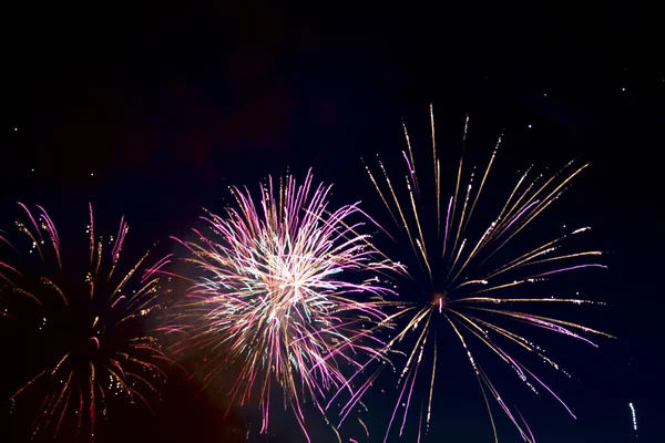 Big fireworks in the night summer sky — Stock Photo, Image