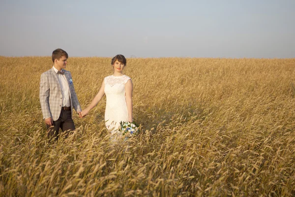 Recién casados el día de la boda . — Foto de Stock