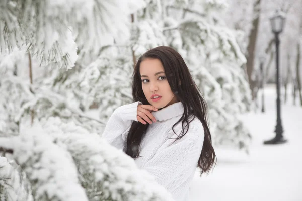 Retrato de una hermosa morena al aire libre . —  Fotos de Stock