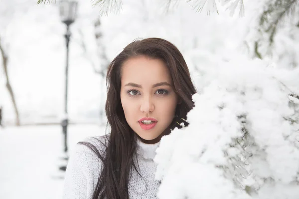 Retrato de una guapa morena vestida con suéter blanco cálido — Foto de Stock