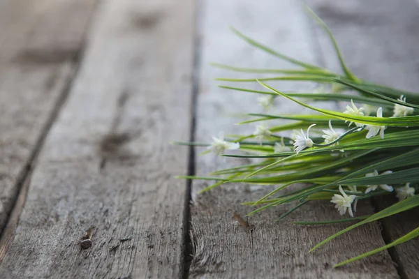 Flores blancas sobre fondo de madera —  Fotos de Stock