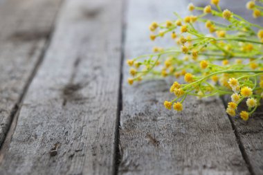 Ahşap masa üzerinde bahar çiçekleri. Anneler günü ve Paskalya 
