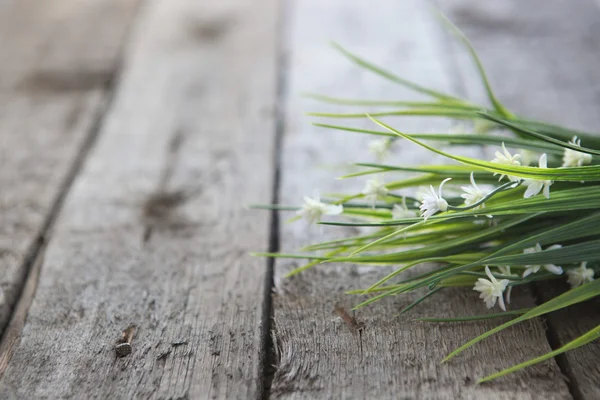 Flores blancas sobre fondo de madera —  Fotos de Stock