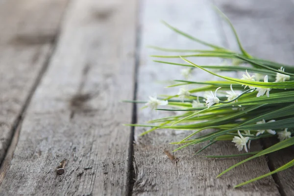 Flores blancas sobre fondo de madera —  Fotos de Stock