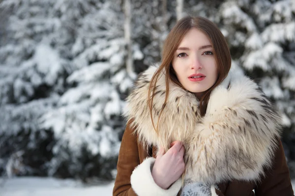 Зимний портрет красивой брюнетки — стоковое фото