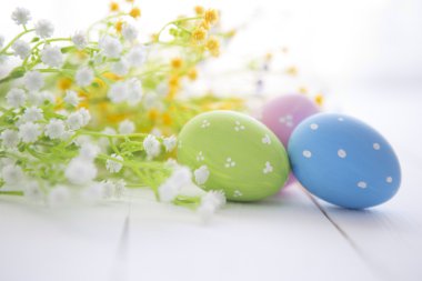 Çok renkli Paskalya yumurtaları taze çiçekler papatya. 