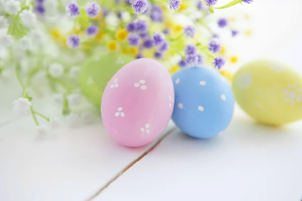 Multicolored Easter eggs in fresh  flowers daisy. — Stock Photo, Image