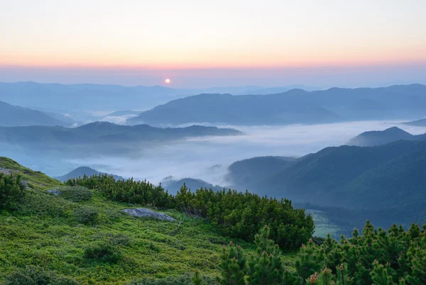 Morning fog in the Carpathian mountains Stock Picture