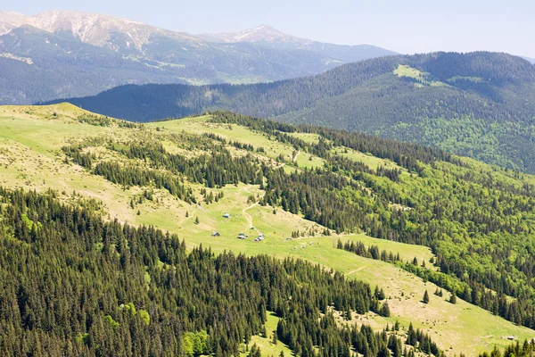 Carpathian Mountains in June Stock Photo
