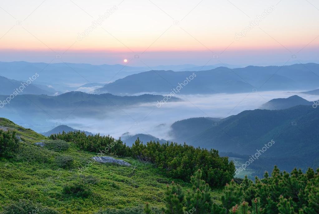 Morning fog in the Carpathian mountains