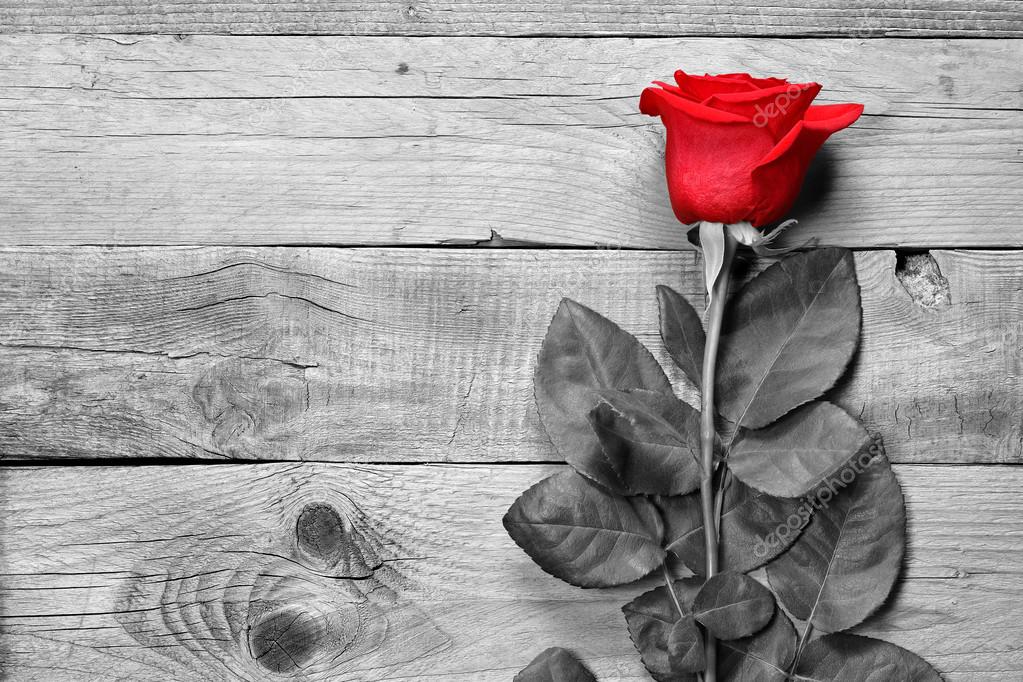 depositphotos_89953858-stock-photo-red-rose-on-black-and.jpg