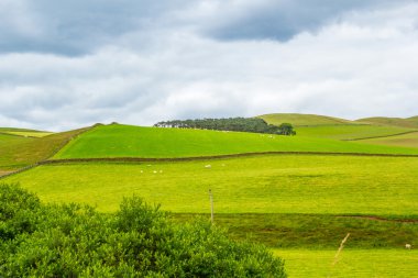 Yorkshire Dales, yatay yaz, İngiltere, Birleşik Krallık