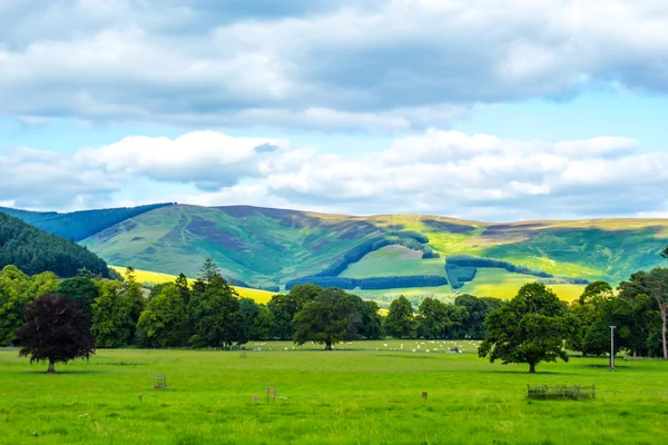 Britse landschap in de zomer — Stockfoto