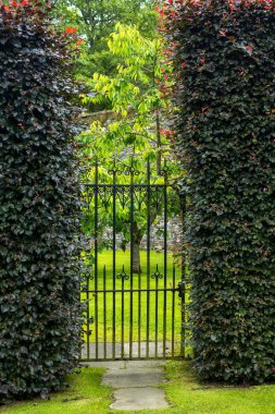 Hedges ile güzel eski Bahçe kapısı