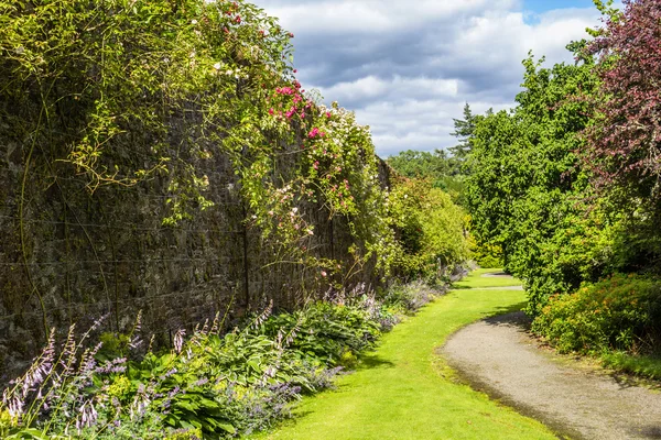 Schöner ummauerter Garten mit Kletterrosen — Stockfoto