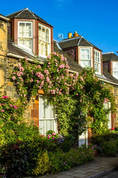 Una casa con rosas trepadoras rosadas — Foto de Stock