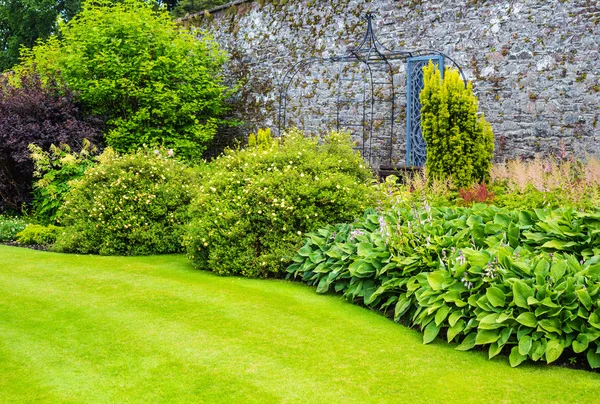 Piękny ogród otoczony murem z trawa trawnik — Zdjęcie stockowe