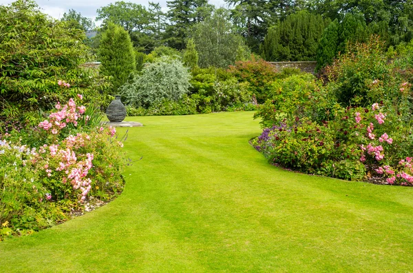 Hermoso jardín rosa claro — Foto de Stock