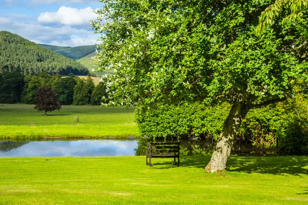 Paisagem britânica no verão com uma lagoa e árvores verdes — Fotografia de Stock