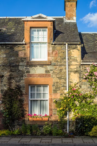 Beautiful old house covered with green ivy — Stock Photo, Image