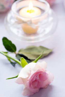 Gri arka plan üzerinde bir mum ile pembe Gül